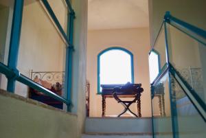 Agriturismo La Malcontenta e il Lupo