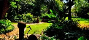 Pandora's Guest Lodge - Orangia