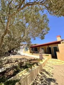 Amοopi Beach Country House - 阿莫皮