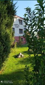 Dom Gościnny Bursztyn