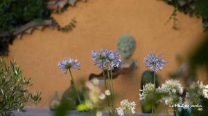 Maisons d'hotes Le Rez de Jardin Albi : photos des chambres