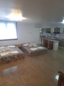 Casa inflorita garsoniere parter