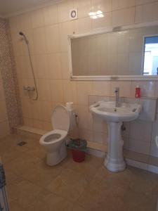 Casa inflorita garsoniere parter