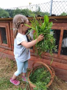 Agroturystyka Za Świerkami