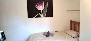 Hideaway Apartment nr. Zipworld