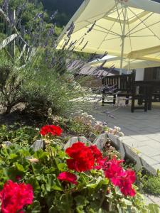 Pensiunea Valea Pinului