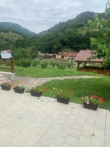 Pensiunea Valea Pinului