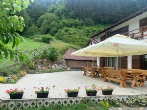 Pensiunea Valea Pinului