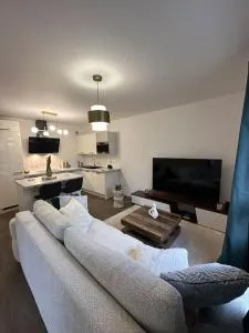 PARIS CDG Superbe appartement en résidence - 塞夫朗