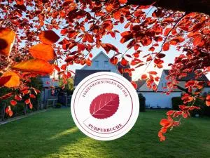 Ferienwohnungen bei der Purpurbuche - Vienenburg