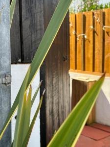 Appartements Welcome sur le Bassin : photos des chambres