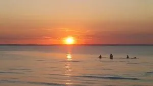 Haus zum Strand Muschel - Harkensee