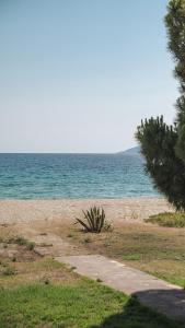 Beach Front Villa Toroni