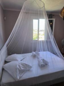 Maisons de vacances Maison chaleureuse a Ajaccio avec vue sur le jardin : photos des chambres