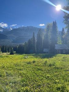 Rustic Beaverfoot Lodge Room N3