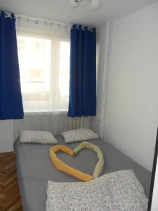 Wrocław University Apartment