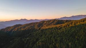 Pine Tree Kasauli I Serviced Villa I Toy Train I Best Seller I Guaranteed Best Price I Kasauli By Exotic Stays