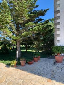 Appartamento nel cuore del Salento