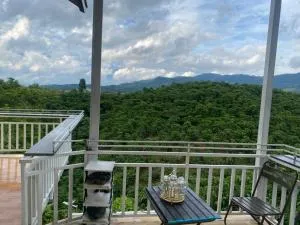 Go and come family - Da Hòa