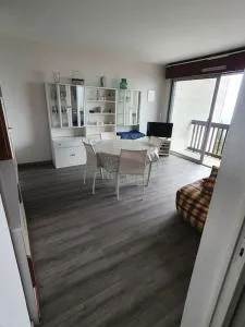 Grand Appartement exposé plein sud - 布齐耶比利牛斯2000