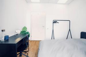 Apartment in the Heart of Riga