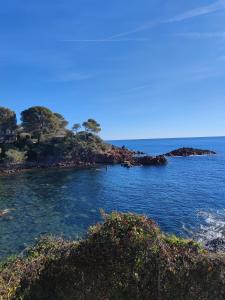Studio Cosy vue Mer à deux pas du Port Santa Lucia - Saint Raphael