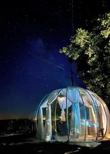 Buby - végtelenbe és tovább - Csebény