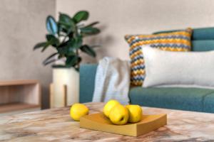 Apartment Viva Vrchlabí A21