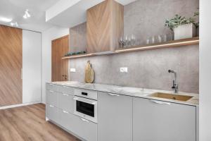 Apartment Viva Vrchlabí A21