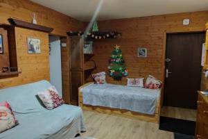 Appartements app ambiance chalet 1er etage au pied des pistes : photos des chambres