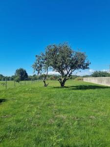 Maisons de vacances Maison de charme avec vue mer et jardin : photos des chambres