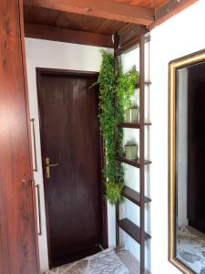 Tara Lapčići Budva