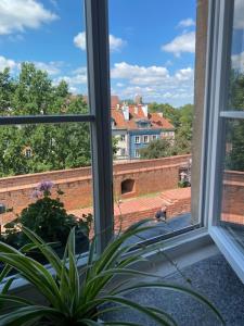 Krzywe Koło 14-16-18 m7