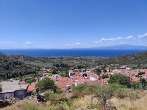 Villa Nadya