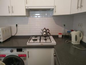 Bodrum merkez marinaya yakin