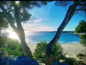 La Maison Saint Ju - Susierra