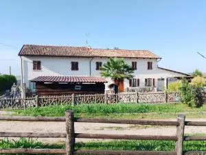 Le vigne - Isola d'Asti