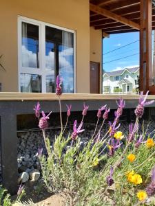 Departamentos Kolibri