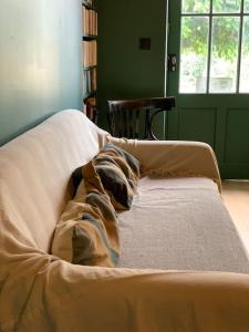 Villas Villa vignoble Sauternes et spa : photos des chambres