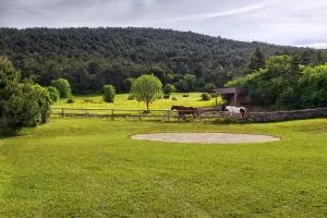 Villa Noiram - Your dream Getaway in Nature - Povir