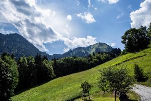 Appartements Chalet Drozin - Fenil LUXE & COZY 11 pers : photos des chambres
