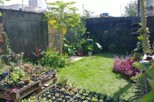 Casa agradável com piscina 12 km da praia