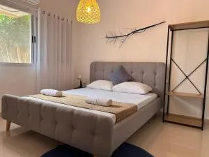 16 Des Septiembre - Fresnillo de González Echeverría