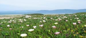 T2 400m plages et commerces excellent rapport qualité prix!