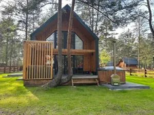 Dom w Borsku - Borsk