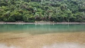 Gonubie Mouth - Lone Tree