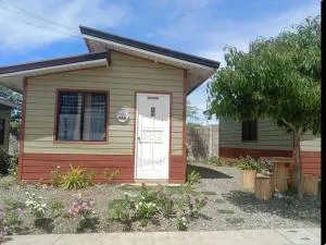 C&G transient in Olango Island - Talibon