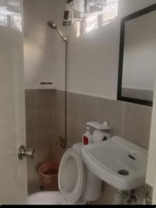 C&G transient in Olango Island