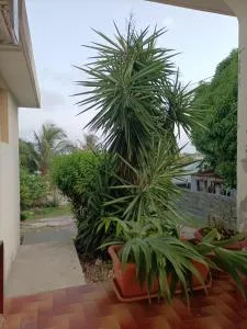 Havre des Tropiques - Deshauteurs