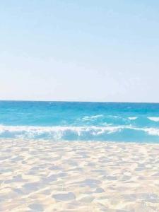 قرية اللوتس الساحل الشمالي